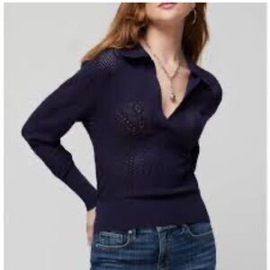 White House Black Market Deep Blue V-Neck Sweater